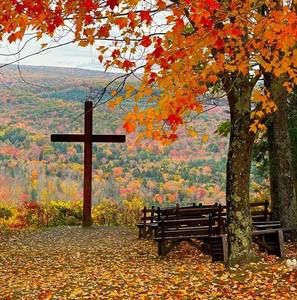 Meet your Posher, Cathy